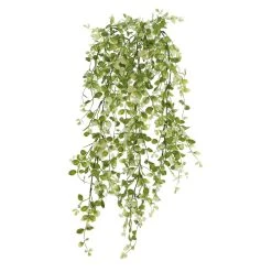 Discount ⭐ 6 Pack: Cream & Green Hanging Smilax Bush by Ashland® ❤️ -Ashland Shop 10626845 4