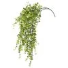 Flash Sale 🎉 6 Pack: Green Hanging Smilax Bush by Ashland® ✨ -Ashland Shop 10626846 1 1