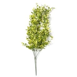 Best Pirce ❤️ Green Hanging Smilax Bush by Ashland® 💯 -Ashland Shop 10626846 21