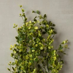 Flash Sale 🎉 6 Pack: Green Hanging Smilax Bush by Ashland® ✨ -Ashland Shop 10626846 25 1