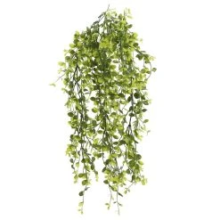 Flash Sale 🎉 6 Pack: Green Hanging Smilax Bush by Ashland® ✨ -Ashland Shop 10626846 4 1