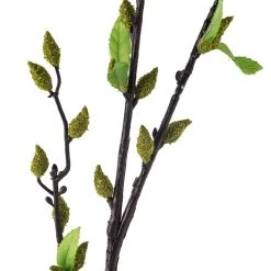 Top 10 🔔 Green Willow Stem by Ashland® ⭐ -Ashland Shop 10626847 20