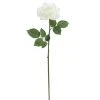 Deals 🤩 6 Pack: White Rose Stem by Ashland® 🌟 -Ashland Shop 10626862 1