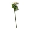 Coupon ✔️ White Rose Stem by Ashland® ⌛ -Ashland Shop 10626862 21