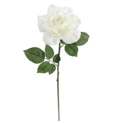 Deals 🤩 6 Pack: White Rose Stem by Ashland® 🌟 -Ashland Shop 10626862 4