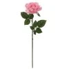 Discount 😉 6 Pack: Blush Rose Stem by Ashland® ✨ -Ashland Shop 10626864 1
