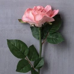 Cheap ⌛ Blush Rose Stem by Ashland® 🥰 -Ashland Shop 10626864 22