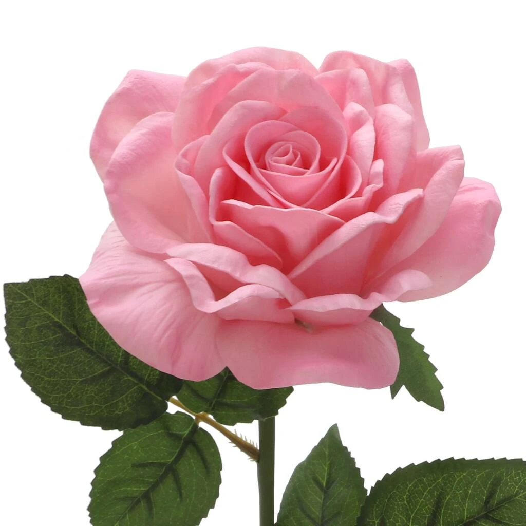 Discount π 6 Pack: Blush Rose Stem by Ashland® β¨ 4 Discount π 6 Pack: Blush Rose Stem by Ashland® β¨ - Image 2