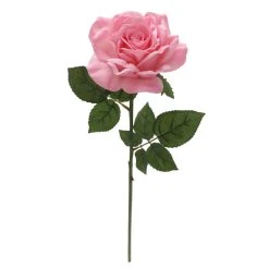 Discount π 6 Pack: Blush Rose Stem by Ashland® β¨ 10 Discount π 6 Pack: Blush Rose Stem by Ashland® β¨ -Ashland Shop 10626864 4