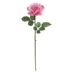 Promo ⌛ 6 Pack: Pink Rose Stem by Ashland® 🎁