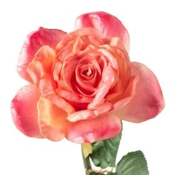 Cheapest 🤩 Pink Rose Stem by Ashland® ⌛ -Ashland Shop 10626868 20