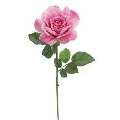 Promo ⌛ 6 Pack: Pink Rose Stem by Ashland® 🎁 -Ashland Shop 10626868 4