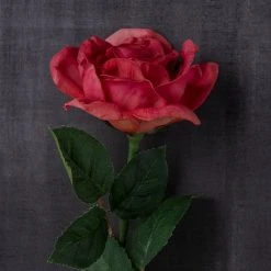 Deals ✨ Fuchsia Rose Stem by Ashland® ⌛ 6 Deals ✨ Fuchsia Rose Stem by Ashland® ⌛ -Ashland Shop 10626870 22