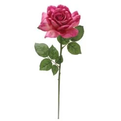 Best Sale ⌛ 6 Pack: Fuchsia Rose Stem by Ashland® ⌛ -Ashland Shop 10626870 4