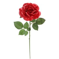 Outlet 👏 6 Pack: Red Rose Stem by Ashland® ✨ -Ashland Shop 10626872 4