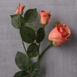 Hot Sale ❤️ Coral Rose Stem by Ashland® ⌛ -Ashland Shop 10626880 22