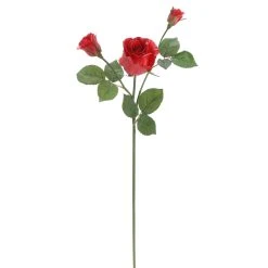 Deals 🧨 6 Pack: Red Rose Spray by Ashland® ⭐