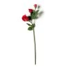 Best reviews of 👍 Red Rose Stem by Ashland® ✨ -Ashland Shop 10626884 21