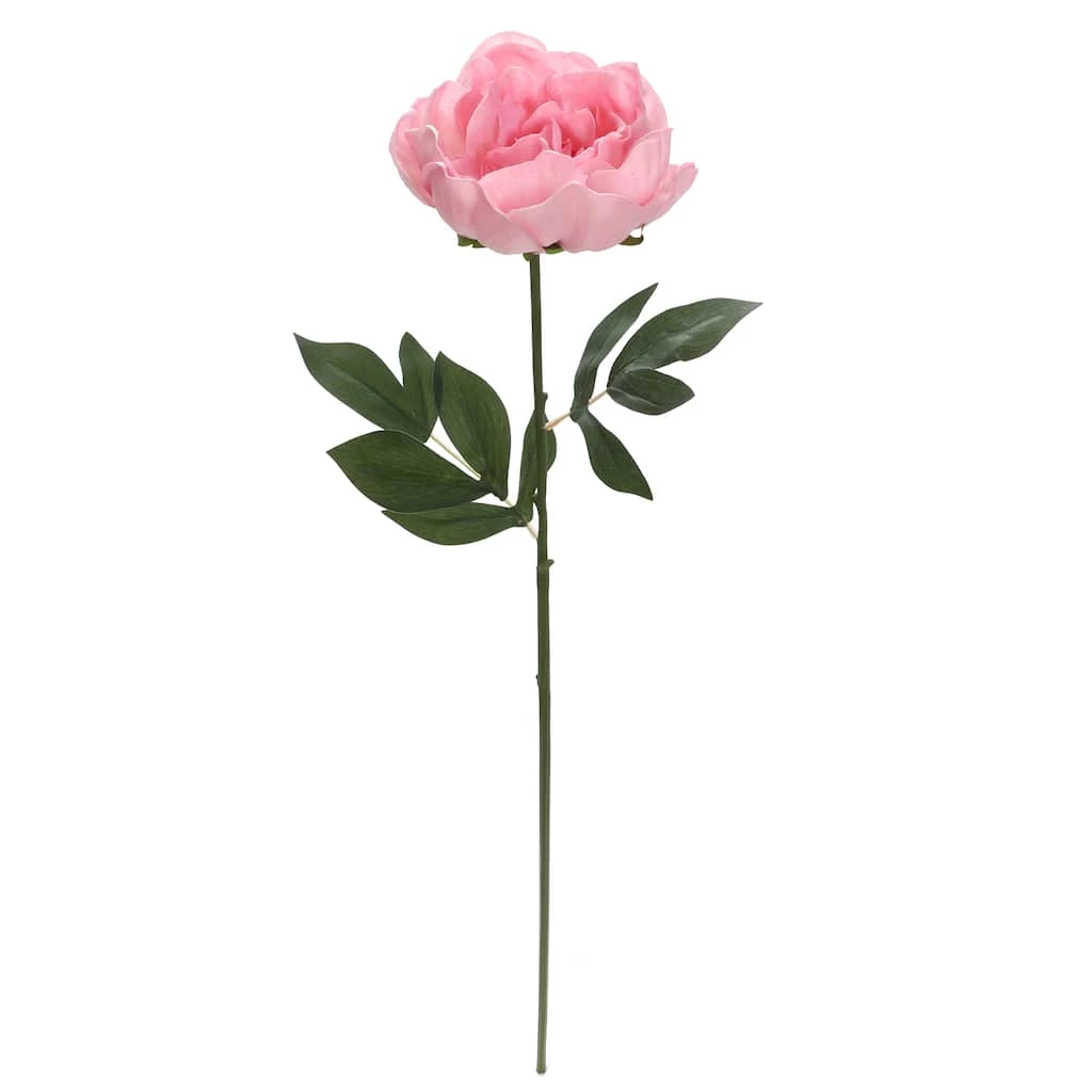 Brand new π 6 Pack: Blush Peony Stem by Ashland® β 3 Brand new π 6 Pack: Blush Peony Stem by Ashland® β