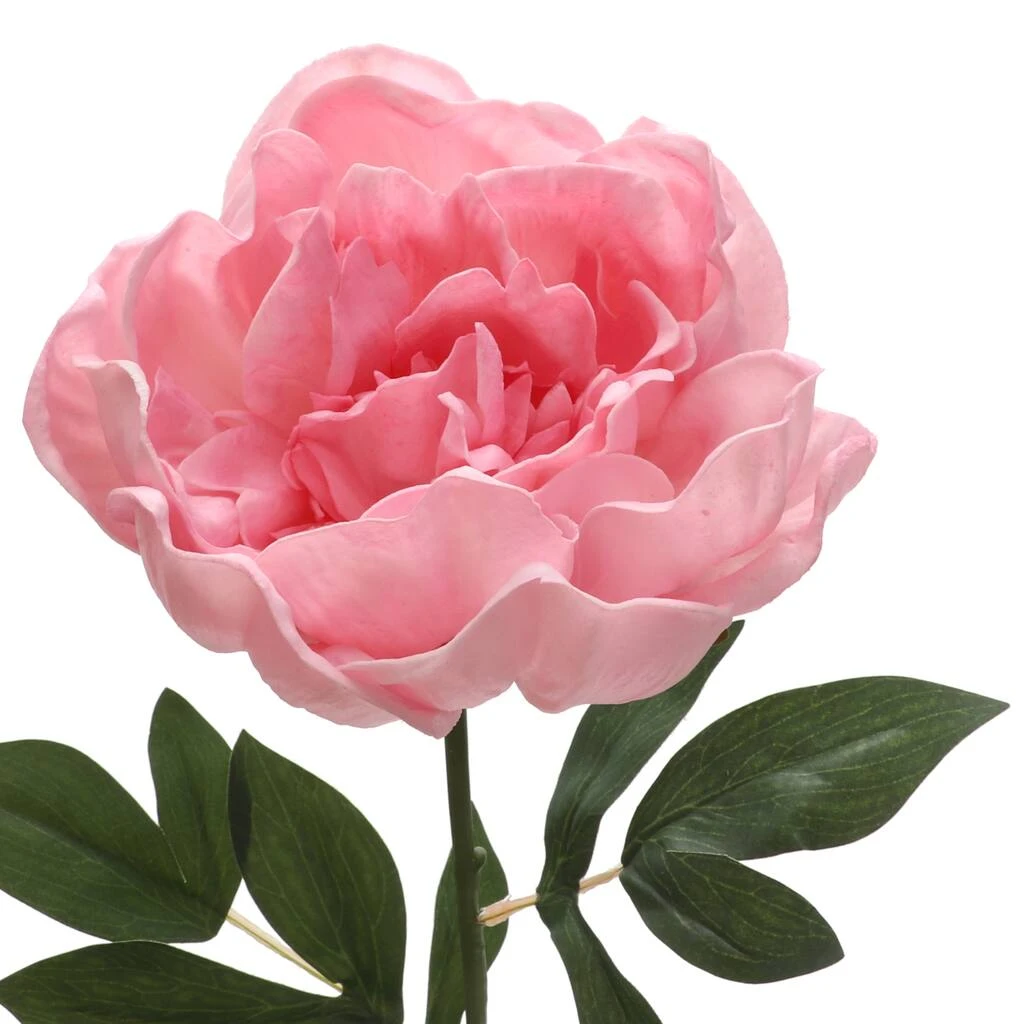 Brand new π 6 Pack: Blush Peony Stem by Ashland® β 4 Brand new π 6 Pack: Blush Peony Stem by Ashland® β - Image 2