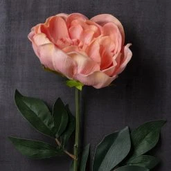Cheap ⌛ Blush Large Peony Stem by Ashland® ✨ 6 Cheap ⌛ Blush Large Peony Stem by Ashland® ✨ -Ashland Shop 10626886 22