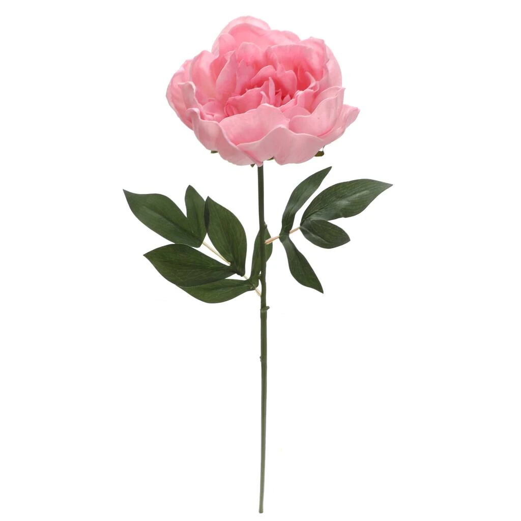 Brand new π 6 Pack: Blush Peony Stem by Ashland® β 5 Brand new π 6 Pack: Blush Peony Stem by Ashland® β - Image 3