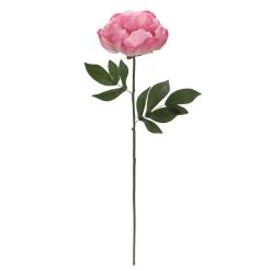 Best Sale ⭐ 6 Pack: Pink Peony Stem by Ashland® 👍