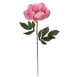 Best Sale ⭐ 6 Pack: Pink Peony Stem by Ashland® 👍 -Ashland Shop 10626888 4