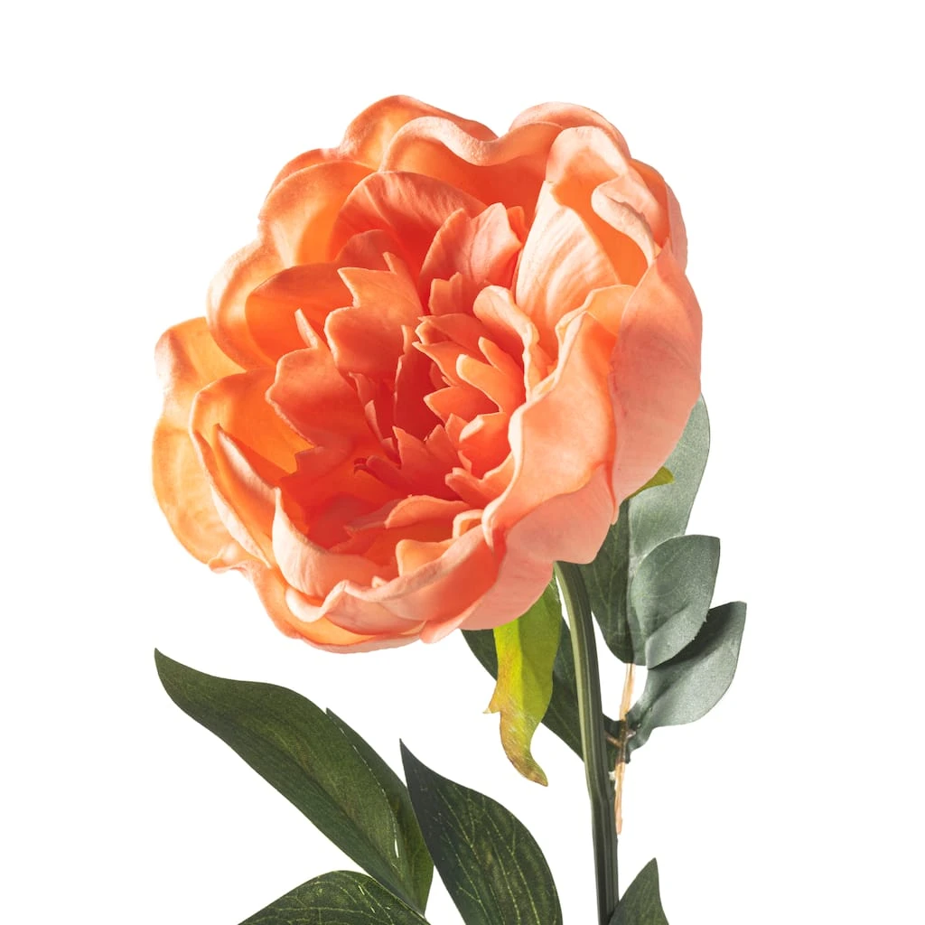 Best deal ✔️ Coral Large Peony Stem by Ashland® 🎉 5 Best deal ✔️ Coral Large Peony Stem by Ashland® 🎉 - Image 3