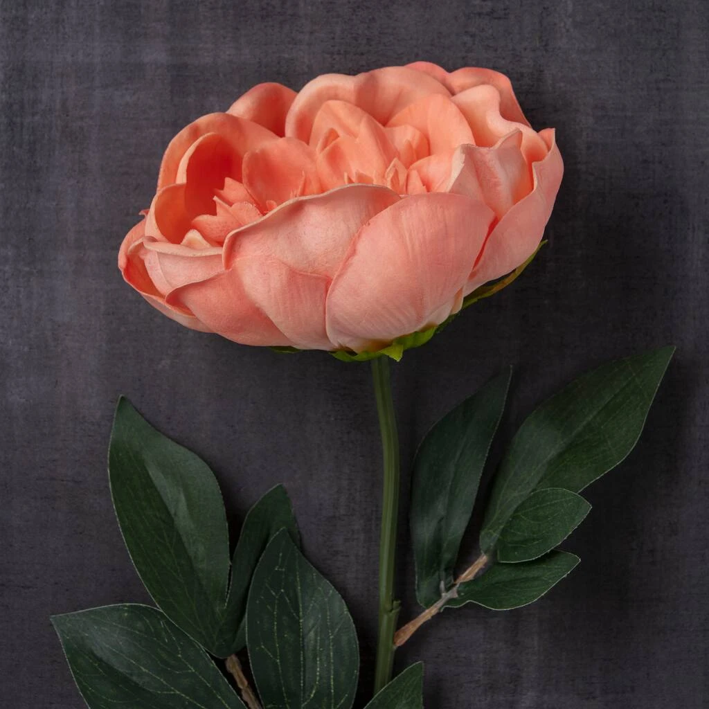 Best deal ✔️ Coral Large Peony Stem by Ashland® 🎉 4 Best deal ✔️ Coral Large Peony Stem by Ashland® 🎉 - Image 2