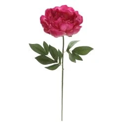 New 🔔 Fuchsia Peony Stem by Ashland® ⭐ -Ashland Shop 10626892 4