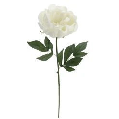 Promo 🎉 White Peony Stem by Ashland® 🥰 -Ashland Shop 10626894 3