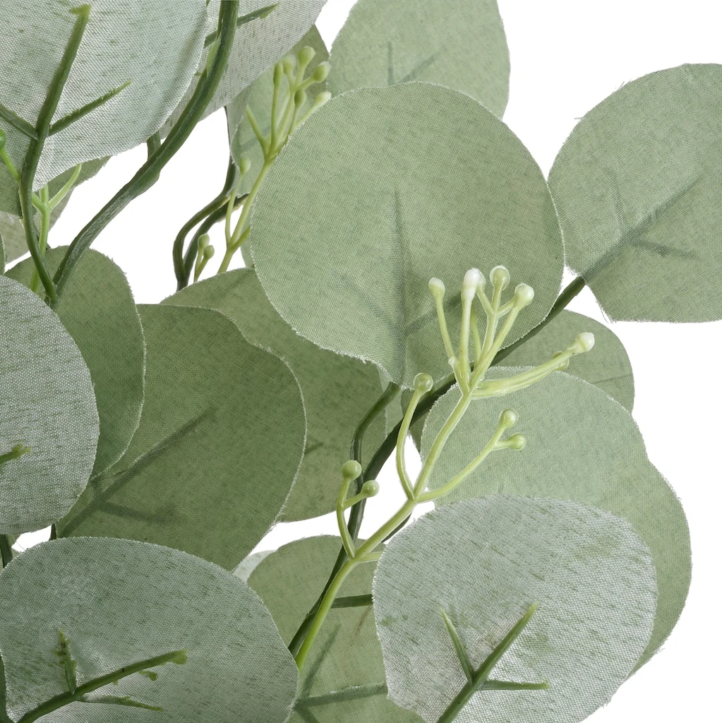 Best deal ⌛ Eucalyptus Bush by Ashland® 🎉 4 Best deal ⌛ Eucalyptus Bush by Ashland® 🎉 - Image 2