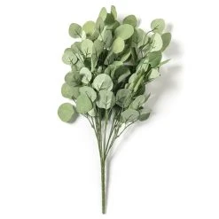 Best deal ⌛ Eucalyptus Bush by Ashland® 🎉 10 Best deal ⌛ Eucalyptus Bush by Ashland® 🎉 -Ashland Shop 10626920 21