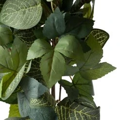 Promo ⭐ 6 Pack: Green Hanging Fittonia Bush by Ashland® 😉 -Ashland Shop 10626924 20 1