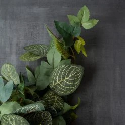 Promo ⭐ 6 Pack: Green Hanging Fittonia Bush by Ashland® 😉 -Ashland Shop 10626924 25 1