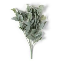 Cheapest ⌛ 6 Pack: Lamb's Ear Bush by Ashland® 🤩
