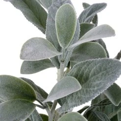 Best reviews of ✨ Lamb's Ear Bush by Ashland® ❤️ -Ashland Shop 10626928 3