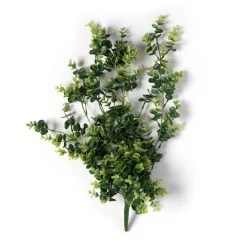 Coupon 🧨 6 Pack: Green Hanging Eucalyptus Bush by Ashland® ⌛