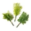 Buy ✨ Assorted Green Fern Bundle by Ashland® ⌛ -Ashland Shop 10626932 21
