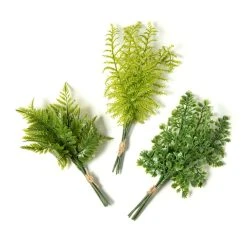 Buy ✨ Assorted Green Fern Bundle by Ashland® ⌛