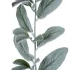 Best reviews of ❤️ 6ft. Lamb's Ear Garland by Ashland® ⌛ -Ashland Shop 10626957 2