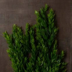 Best Sale 😍 Hanging Ruscus Bush by Ashland® 🎉 -Ashland Shop 10626982 25