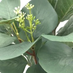 Outlet ✔️ Silver Dollar & Lamb's Ear Bush by Ashland® 🧨 -Ashland Shop 10626983 3