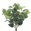 Best Pirce 👏 Green Pothos Bush by Ashland® 🎁 1 Best Pirce 👏 Green Pothos Bush by Ashland® 🎁 -Ashland Shop 10626988 1