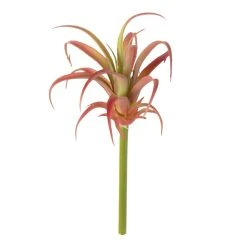 Budget 🌟 Assorted Succulent Pick by Ashland® ❤️