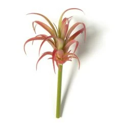 Discount 🥰 24 Pack: Assorted Succulent Pick by Ashland® ⭐