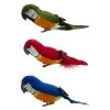 Best reviews of 👍 12 Pack: Assorted Feather Parrots by Ashland® ❤️ -Ashland Shop 10627157 1 1