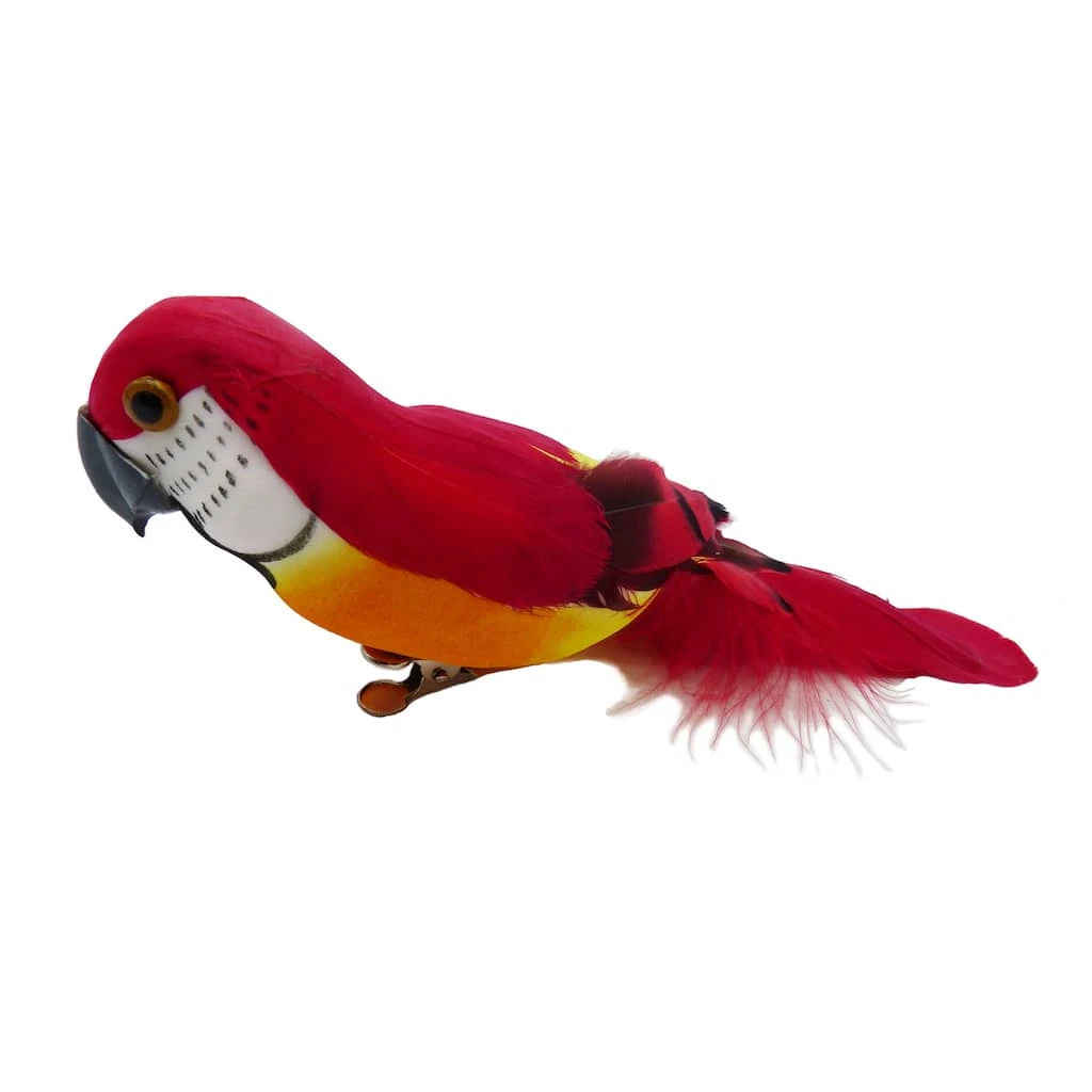 Top 10 ✔️ Assorted Feather Parrot by Ashland® 🔥 5 Top 10 ✔️ Assorted Feather Parrot by Ashland® 🔥 - Image 3