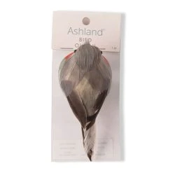 Cheap ✨ Orange Breasted Feather Bird by Ashland® ⭐ -Ashland Shop 10627158 20